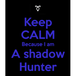 shadow hunter clan