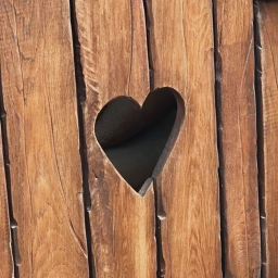 ˚ ♡ ｡˚