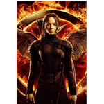 The Hunger Games Books And Movies Group