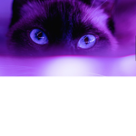 Purple Squad!!!!!!