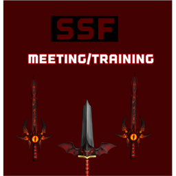 Steady Sword Fighters [SSF] Meeting/Training
