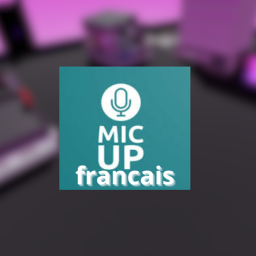 VOICE CHAT FR / VIBE
