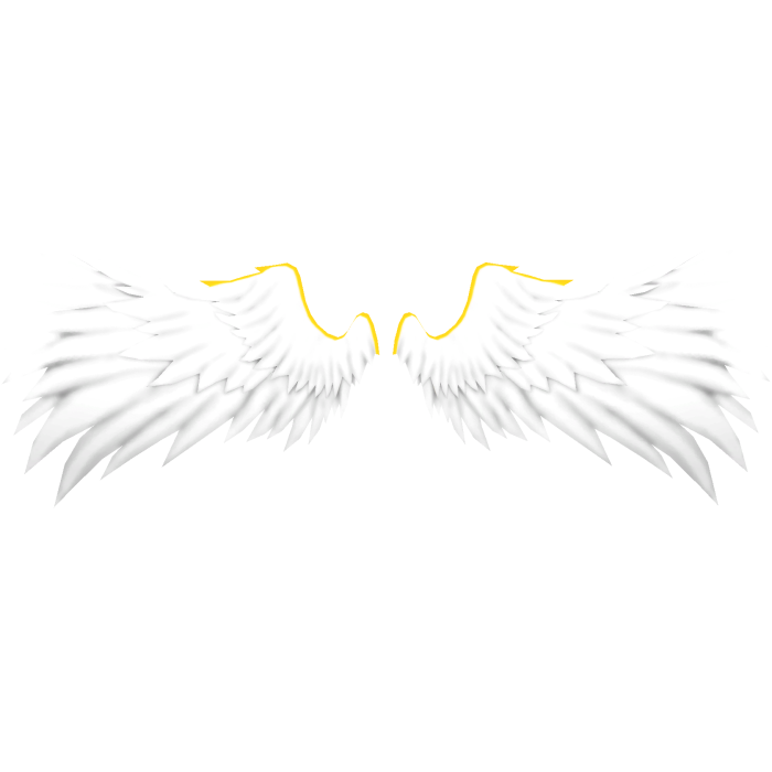 Huge White Angel Wings😇🪽