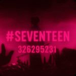 〥seventeen