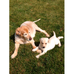 The cousins named zoe and molly