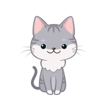 catsy groups