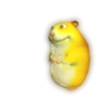 Sun Chomik