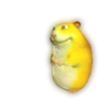 Sun Chomik