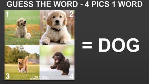 ❓Guess The Word - 4 Pics 1 Word 