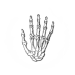 5FingerGhost(SS)