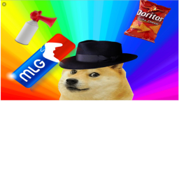 The D0G3 hangout!