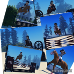 The wild heart stable equestrian team!