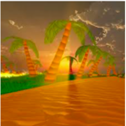 Shawn's beach