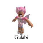 Gulabi Clothing