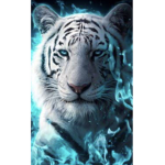 Tiger Legend club