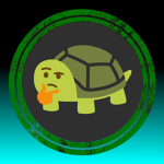 Team Turtle!!!