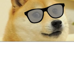 Dogeydesigns