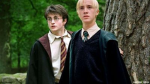 Harry Potter fanz?