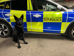 City of London police dog section