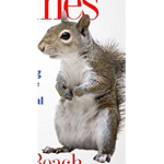 Squirrels and Chipmunks