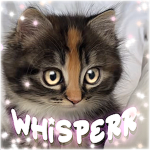 ⋆ ⋆ whisperr ⋆ ⋆