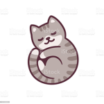 The KittyTeam