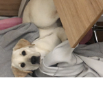 효린,예나