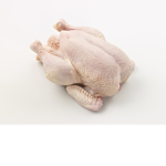 chicken strips designed clothing