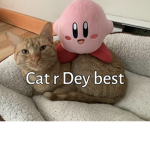 Cats are the best!11