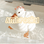 - A m b r o s i a l -