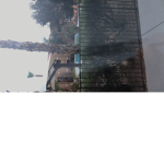 Dado20116
