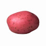 Red Patatas