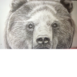 Evan bear has friends