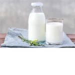 Gathering Of Milk