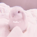 quallv_
