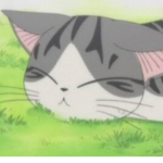 Cat Kingdom United!