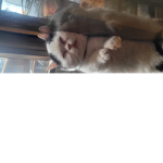 #### 오섬