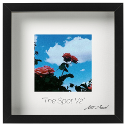👑 The Spot V2 👑