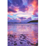 - S1ASGL4AM -