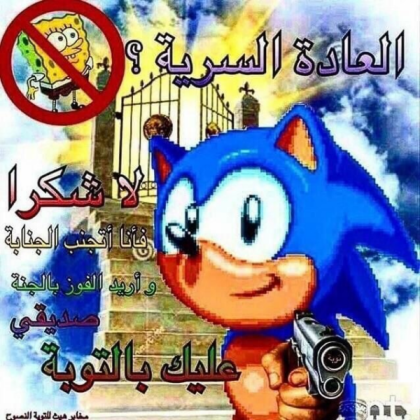 Arabic funny sonic Roblox decal