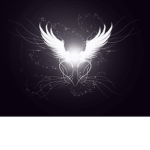 Dark wing angels