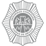 Mexico City Police Department