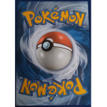 Pokémon fan's