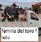 Familia del toro fleto