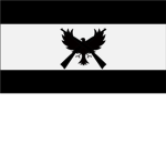.The Black Falcons.