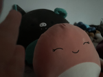 Squishmallow land.