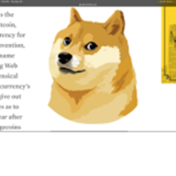 doge vilage