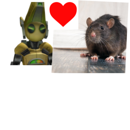 rat raid meeting / junkbot raid meeting