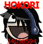 .hokori