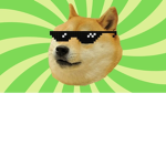 doge bio